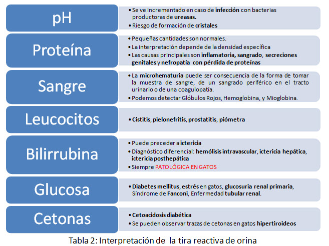 Valores normales de leucocitos en examen general de orina